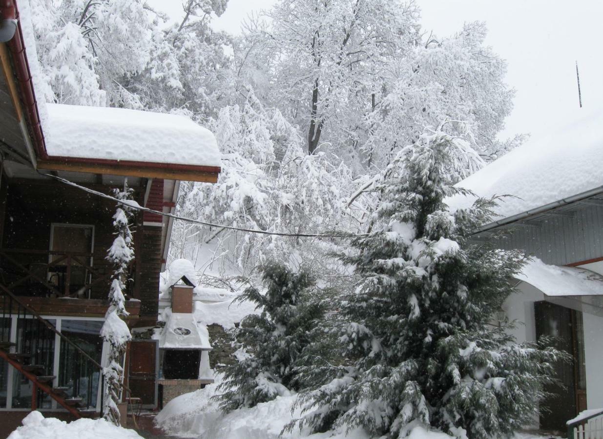 Pensiunea Amo Vălenii de Munte Εξωτερικό φωτογραφία